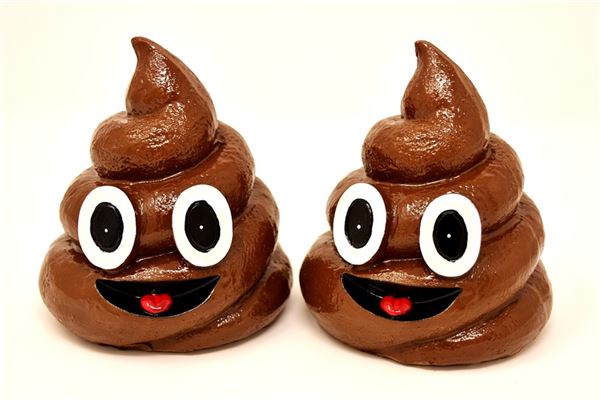 孕妇梦见屎 周公解梦 孕妇梦见屎是什么意思 孕妇梦见屎好不好