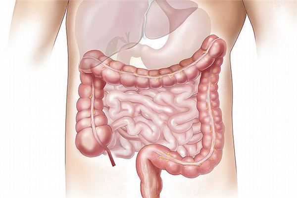 梦见割内脏 周公解梦梦到割内脏是什么意思 做梦梦见割内脏好不好