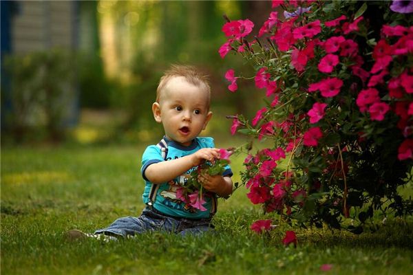 梦见老伯伯变成小孩子 周公解梦梦到老伯伯变成小孩子是什么意思 做梦梦见老伯伯变成小孩子好不好