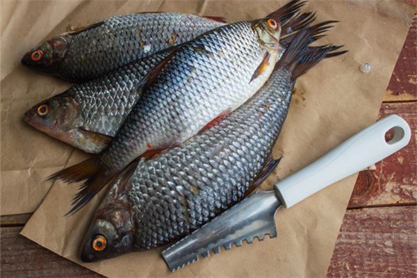 孕妇梦见杀鱼 周公解梦 孕妇梦见杀鱼是什么意思 孕妇梦见杀鱼好不好