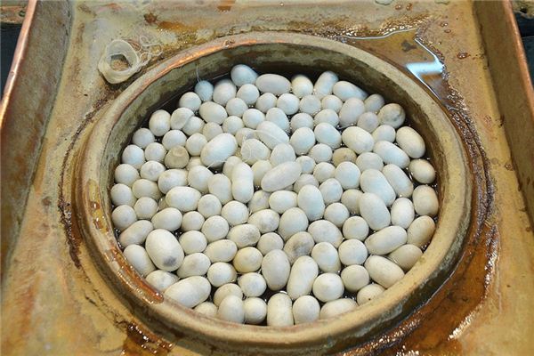 梦见蚕箔 周公解梦梦到蚕箔是什么意思 做梦梦见蚕箔好不好