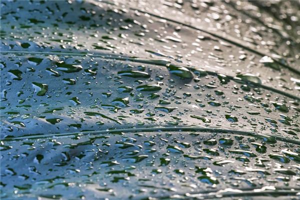 梦见湿度 周公解梦梦到湿度是什么意思 做梦梦见湿度好不好