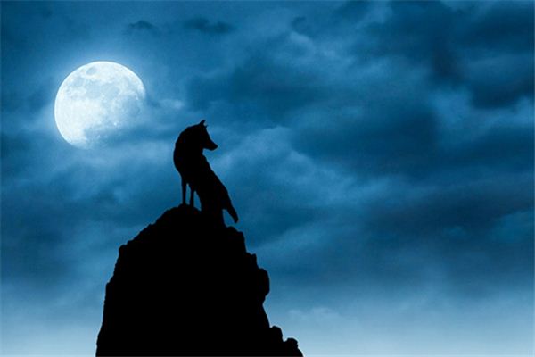 梦见天黑 周公解梦梦到天黑是什么意思 做梦梦见天黑好不好