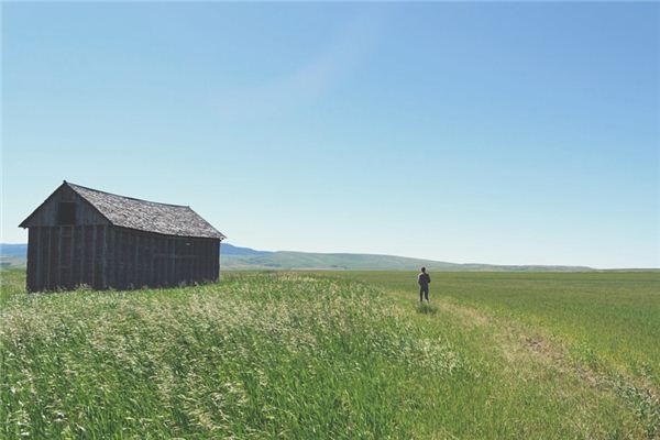 梦见谷仓 周公解梦梦到谷仓是什么意思 做梦梦见谷仓好不好