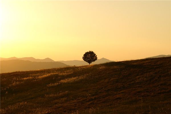 梦见平静 周公解梦梦到平静是什么意思 做梦梦见平静好不好