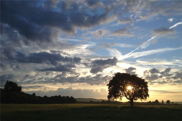 梦见天明 周公解梦梦到天明是什么意思 做梦梦见天明好不好