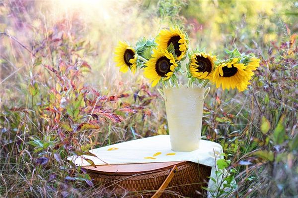 梦见花束 周公解梦梦到花束是什么意思 做梦梦见花束好不好