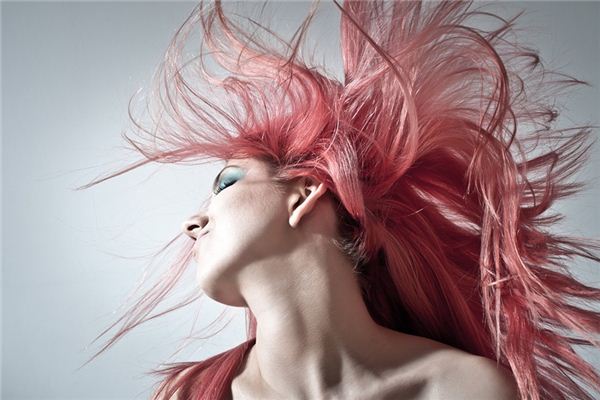 梦见狂野 周公解梦梦到狂野是什么意思 做梦梦见狂野好不好