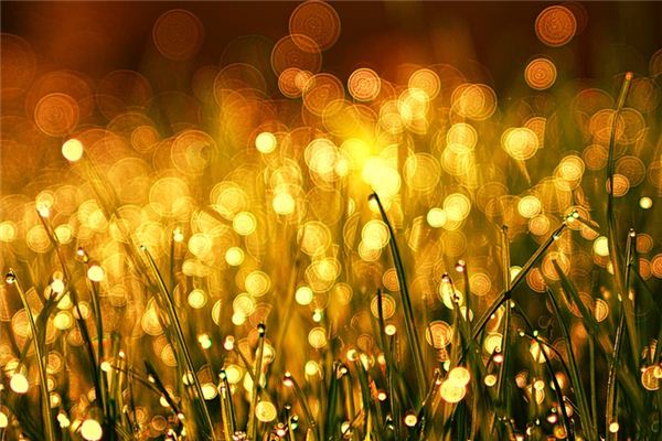 梦见模糊 周公解梦梦到模糊是什么意思 做梦梦见模糊好不好