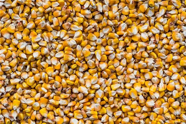 梦见金黄的玉米 周公解梦梦到金黄的玉米是什么意思 做梦梦见金黄的玉米好不好