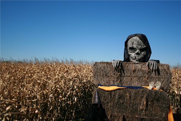 梦见诈尸 周公解梦梦到诈尸是什么意思 做梦梦见诈尸好不好