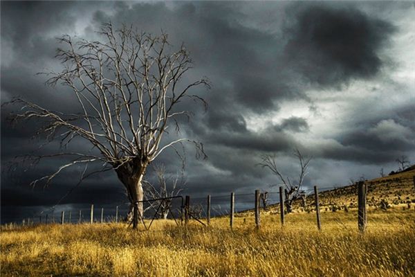 梦见乌云密布 周公解梦梦到乌云密布是什么意思 做梦梦见乌云密布好不好