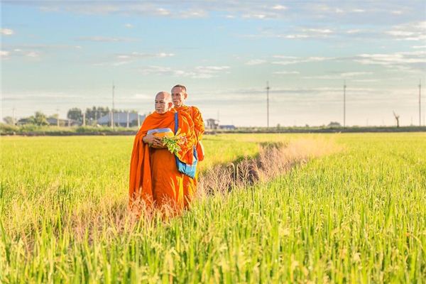 梦见宗教导师或传教士 周公解梦梦到宗教导师或传教士是什么意思 做梦梦见宗教导师或传教士好不好