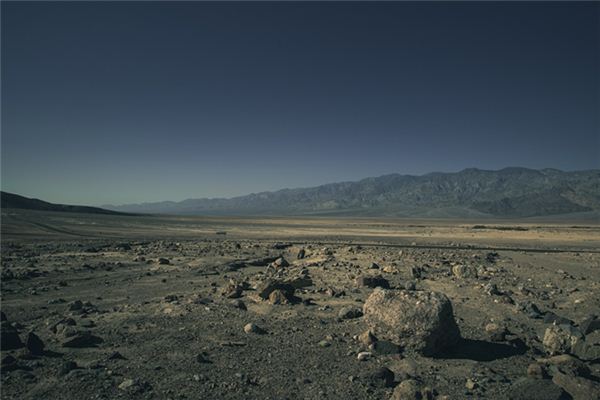 梦见田地荒芜 周公解梦梦到田地荒芜是什么意思 做梦梦见田地荒芜好不好