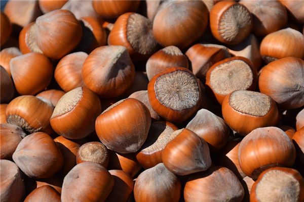 梦见粟 周公解梦梦到粟是什么意思 做梦梦见粟好不好