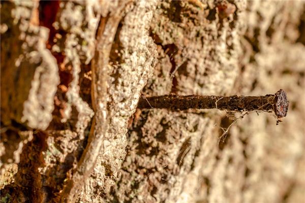 梦见钉子 周公解梦梦到钉子是什么意思 做梦梦见钉子好不好