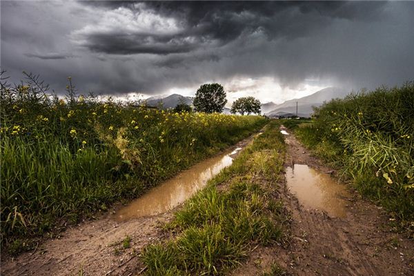 梦见泥泞路 周公解梦梦到泥泞路是什么意思 做梦梦见泥泞路好不好