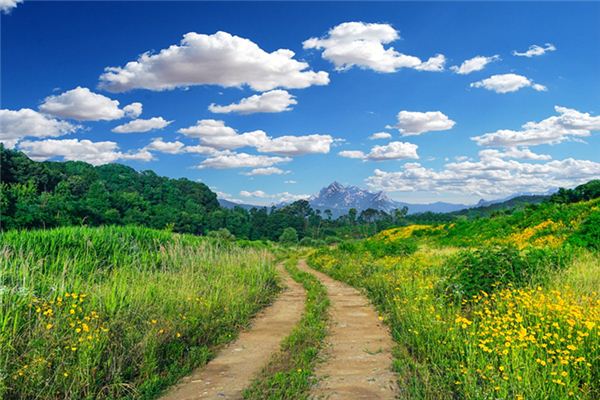 梦见阡陌 周公解梦梦到阡陌是什么意思 做梦梦见阡陌好不好