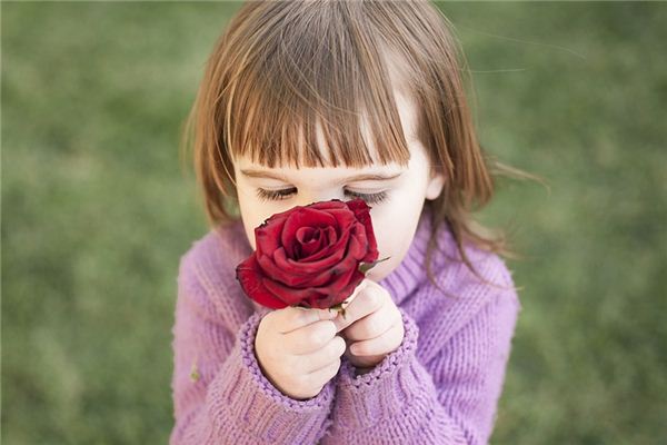 梦见味觉 周公解梦梦到味觉是什么意思 做梦梦见味觉好不好