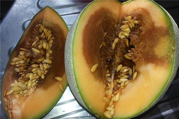 梦见烂瓜 腐烂的瓜类 周公解梦梦到烂瓜 腐烂的瓜类是什么意思 做梦梦见烂瓜 腐烂的瓜类好不好