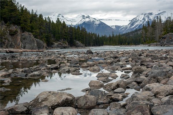梦见河床 周公解梦梦到河床是什么意思 做梦梦见河床好不好