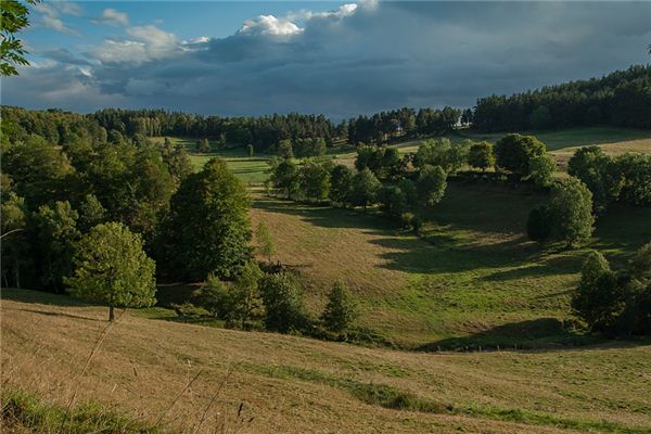 梦见大草原 周公解梦梦到大草原是什么意思 做梦梦见大草原好不好