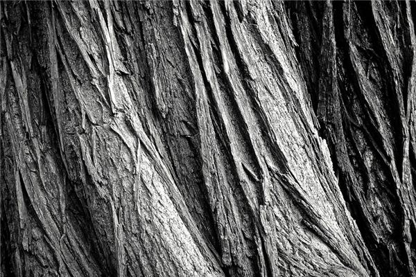 梦见黑檀木 周公解梦梦到黑檀木是什么意思 做梦梦见黑檀木好不好