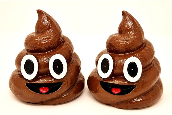 梦见大粪 周公解梦梦到大粪是什么意思 做梦梦见大粪好不好