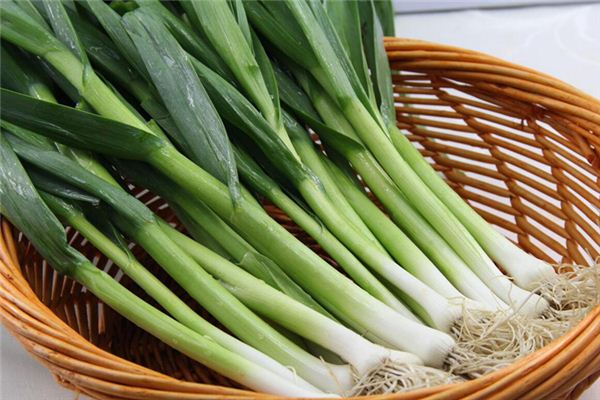 梦见<font color='red'>大蒜</font> 蒜苗 蒜头 周公解梦梦到<font color='red'>大蒜</font> 蒜苗 蒜头是什么意思 做梦梦见<font color='red'>大蒜</font> 蒜苗 蒜头好不好