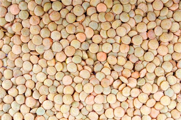 梦见小扁豆 周公解梦梦到小扁豆是什么意思 做梦梦见小扁豆好不好