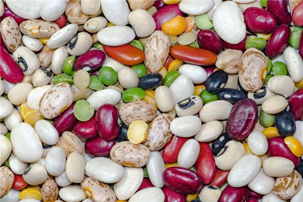 梦见芸豆 周公解梦梦到芸豆是什么意思 做梦梦见芸豆好不好