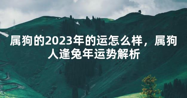 属狗的2023年的运怎么样，属狗人逢兔年运势解析