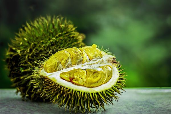 梦见臭味 周公解梦梦到臭味是什么意思 做梦梦见臭味好不好