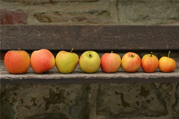 梦见排队 周公解梦梦到排队是什么意思 做梦梦见排队好不好