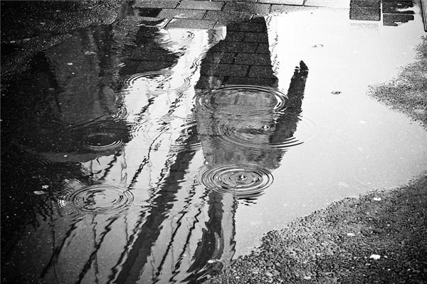 梦见水坑 周公解梦梦到水坑是什么意思 做梦梦见水坑好不好