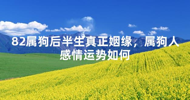 82属狗后半生真正姻缘，属狗人感情运势如何