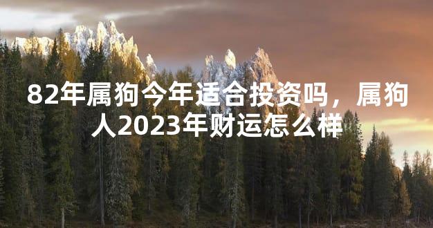 82年属狗今年适合投资吗，属狗人2023年财运怎么样