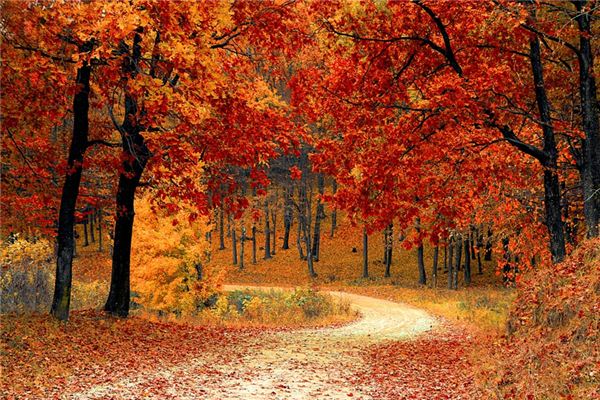 梦见秋天 周公解梦梦到秋天是什么意思 做梦梦见秋天好不好