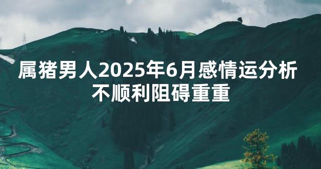 属猪男人2025年6月感情运分析 不顺利阻碍重重