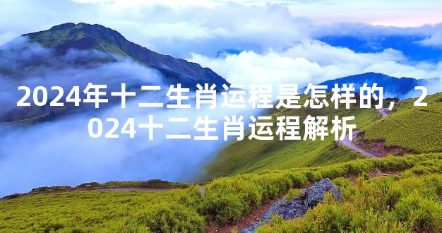 2024年十二生肖运程是怎样的，2024十二生肖运程解析
