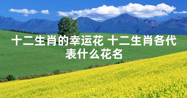 十二生肖的幸运花 十二生肖各代表什么花名