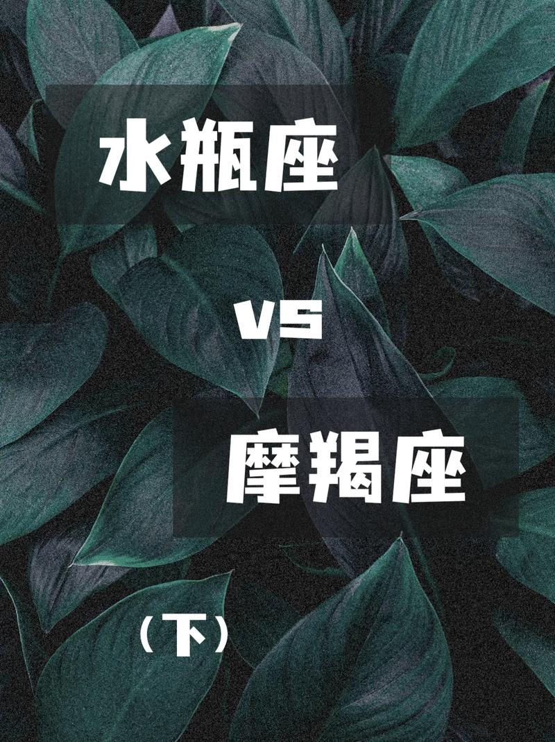 魔羯为什么会喜欢水瓶座 水瓶座是十二星座之王