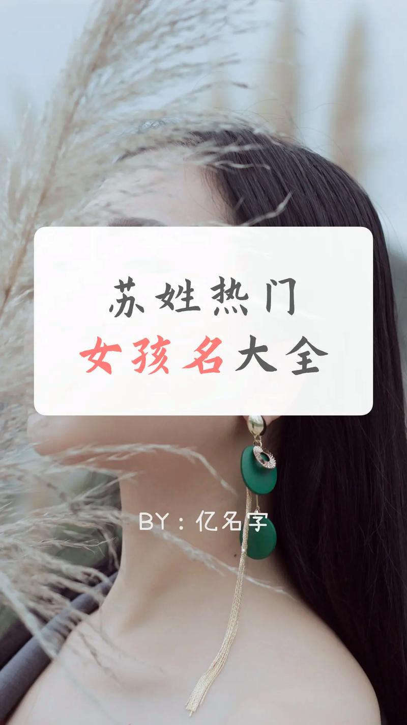 给姓苏女宝宝起名打分 苏永丰姓名打分