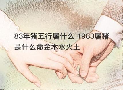 83年属猪人天秤座运势 83年属猪射手座2024全年运势