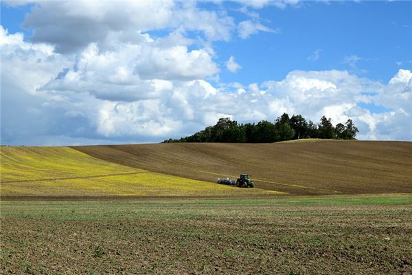 梦见田野 周公解梦梦到田野是什么意思 做梦梦见田野好不好
