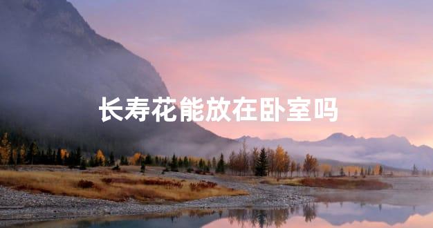 长寿花能放在卧室吗