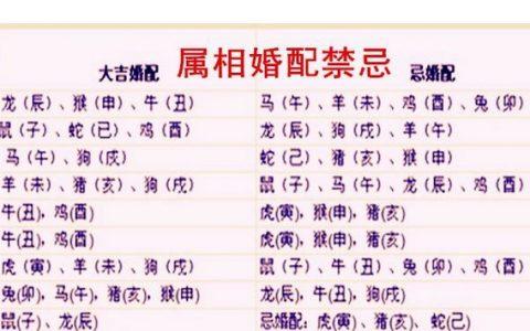 八字合婚打分20 生辰八字合婚很准确