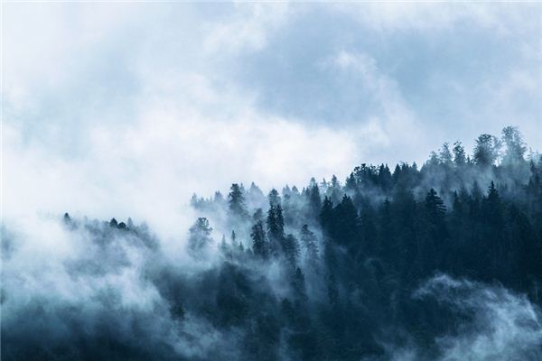 梦见雾 周公解梦梦到雾是什么意思 做梦梦见雾好不好