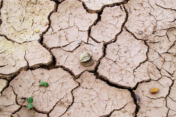 梦见泥土 周公解梦梦到泥土是什么意思 做梦梦见泥土好不好