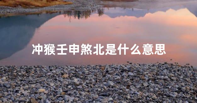 冲猴壬申煞北是什么意思